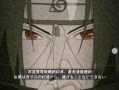 最强忍者爆料排名榜最新,最强忍者爆料排名榜震撼揭晓！