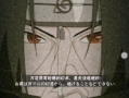 最强忍者爆料排名榜最新,最强忍者爆料排名榜震撼揭晓！